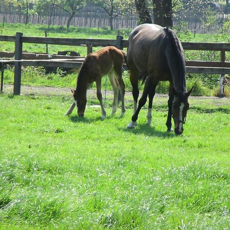 B&B De Turffabriek Griendtsveen Eksteriør billede